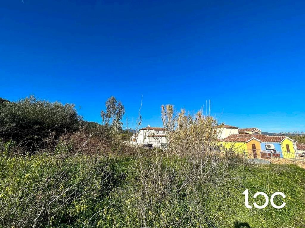 Terreno - Building land Budoni - photo 2