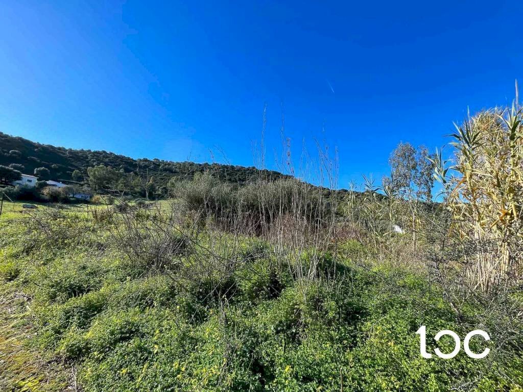 Terreno - Building land Budoni - photo 3