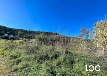 Terreno - Building land Budoni - photo 3