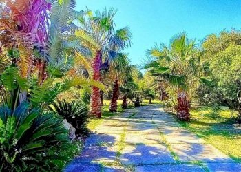 Giardino - Villa Budoni - foto 30