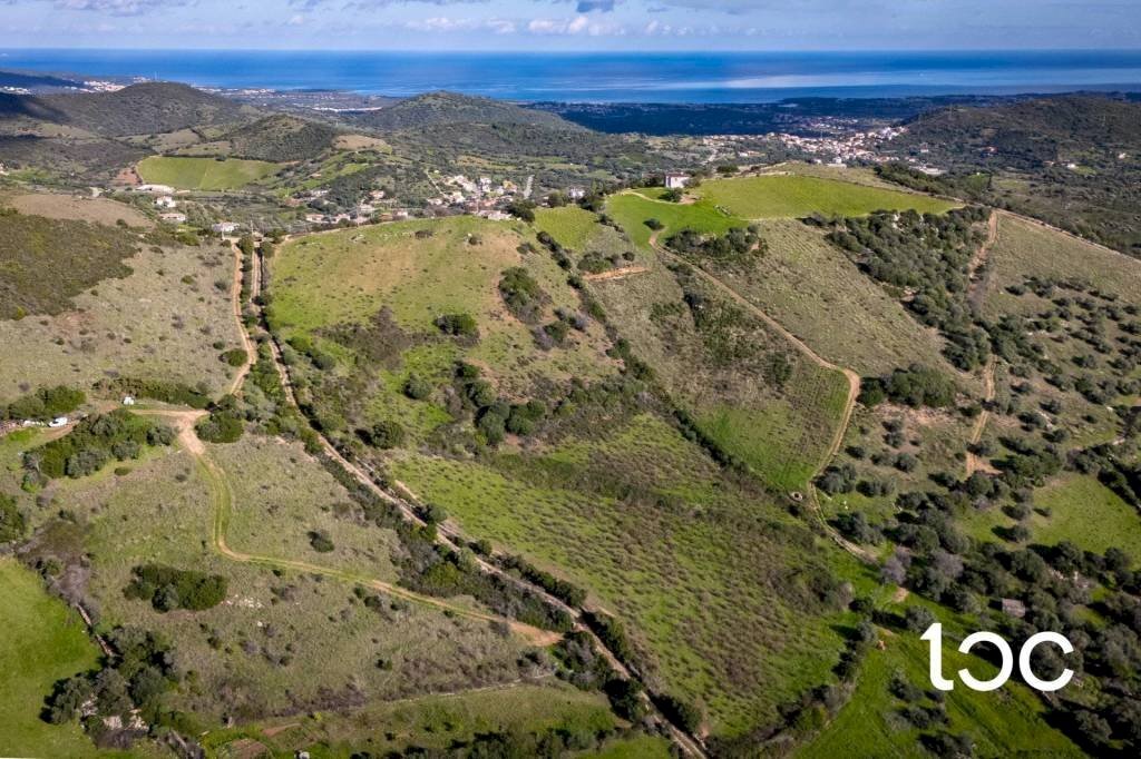 Vista - Agricultural land Budoni - photo 1