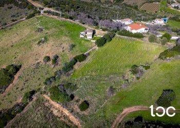 Terreno - Agricultural land Budoni - photo 10