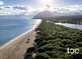 Zona - Villa Orosei - photo 24