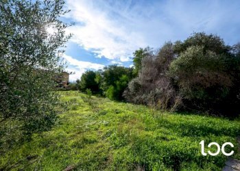 Terreno - Terreno edificabile Olbia - foto 6