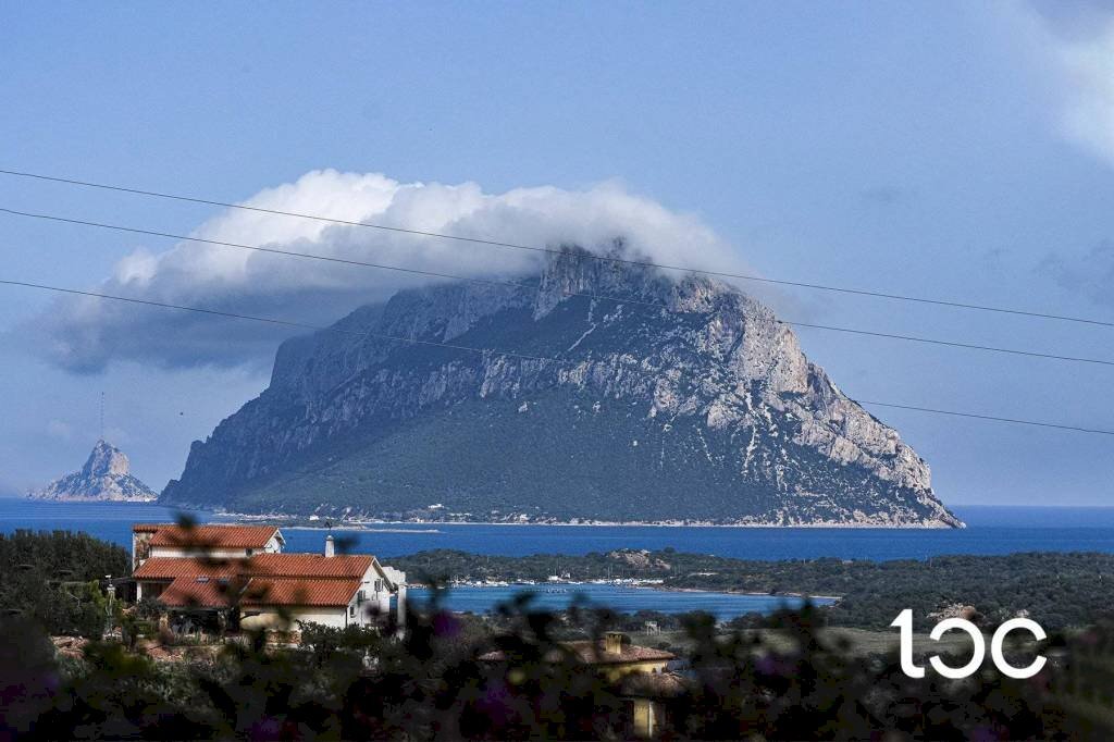 Vista - Villa Loiri Porto San Paolo - foto 2