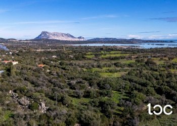 Villa a Schiera San Teodoro - foto 2