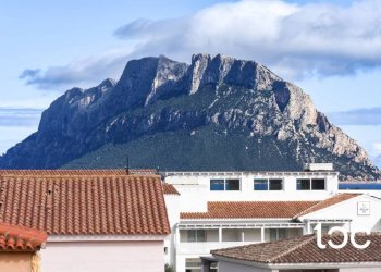 Apartment Loiri Porto San Paolo - photo 4