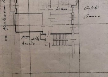 Planimetria - Four-room apartment via Montezemolo, 16, Torino (neighborhood Santa Rita) - photo 33