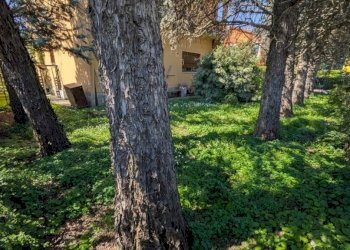 Giardino - Apartment via Emilia, 492, San Lazzaro di Savena - photo 4