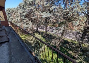 Balcone - Appartamento via Emilia, 492, San Lazzaro di Savena - foto 21