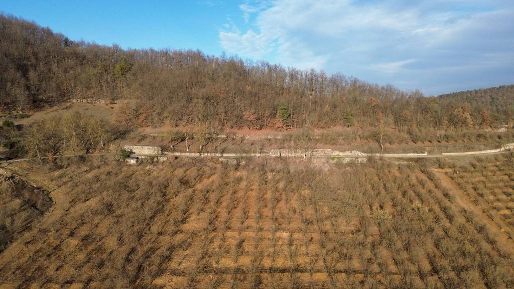Terreno - Terreno agricolo Località Fossata, Torre Bormida - foto 3