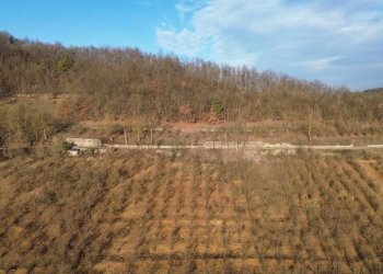 Terreno - Terreno agricolo Località Fossata, Torre Bormida - foto 3