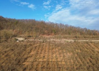 Terreno - Terreno agricolo Località Fossata, Torre Bormida - foto 4