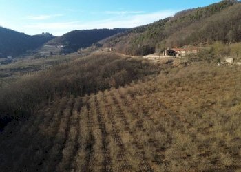 Terreno - Terreno agricolo Località Fossata, Torre Bormida - foto 6