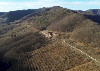 Terreno - Terreno agricolo Località Fossata, Torre Bormida - foto 7