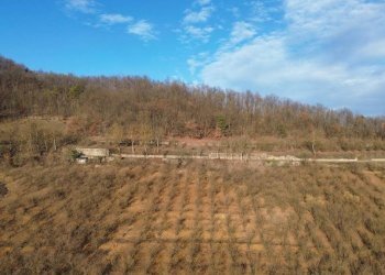 Terreno - Terreno agricolo Località Fossata, Torre Bormida - foto 8