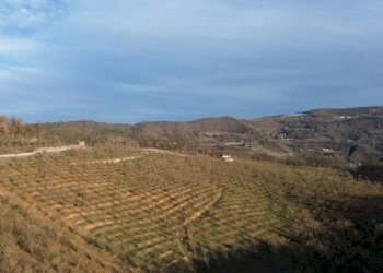 Terreno - Terreno agricolo Località Fossata, Torre Bormida - foto 9