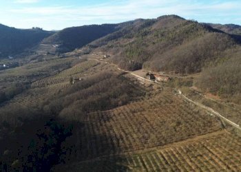 Terreno - Terreno agricolo Località Fossata, Torre Bormida - foto 10