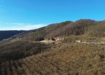 Terreno - Terreno agricolo Località Fossata, Torre Bormida - foto 11