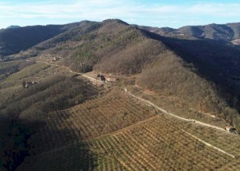 Terreno - Terreno agricolo Località Fossata, Torre Bormida - foto 12