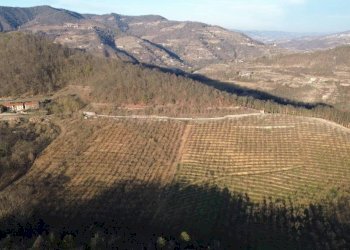 Terreno - Terreno agricolo Località Fossata, Torre Bormida - foto 13