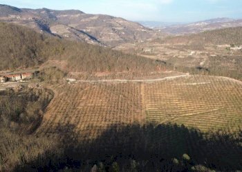 Terreno - Terreno agricolo Località Fossata, Torre Bormida - foto 14