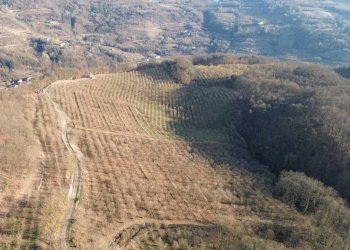 Terreno - Terreno agricolo Località Fossata, Torre Bormida - foto 18