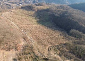 Terreno - Terreno agricolo Località Fossata, Torre Bormida - foto 19