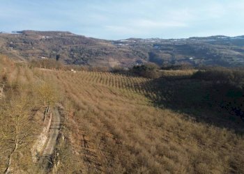 Terreno - Terreno agricolo Località Fossata, Torre Bormida - foto 23