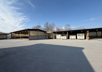 Zona - Capannone via Bisalta, 60, frazione Madonna Delle Grazie, Cuneo - foto 41
