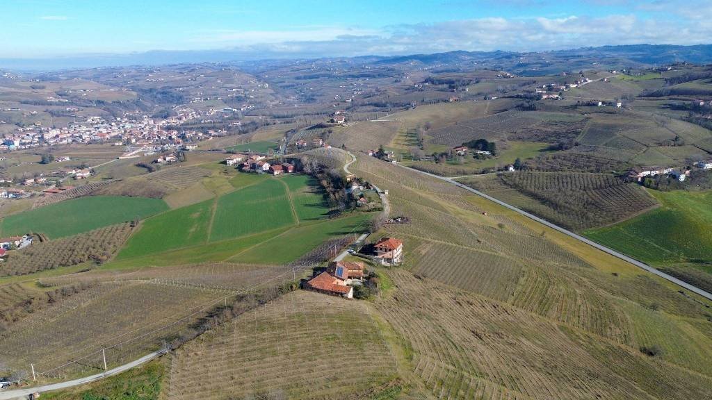 Terreno - Terreno agricolo Borgata Biarella, Dogliani - foto 2