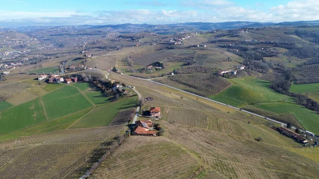 Terreno - Terreno agricolo Borgata Biarella, Dogliani - foto 3