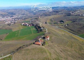 Terreno - Terreno agricolo Borgata Biarella, Dogliani - foto 1