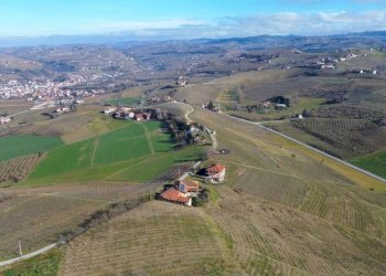 Terreno - Terreno agricolo Borgata Biarella, Dogliani - foto 2