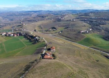 Terreno - Terreno agricolo Borgata Biarella, Dogliani - foto 3
