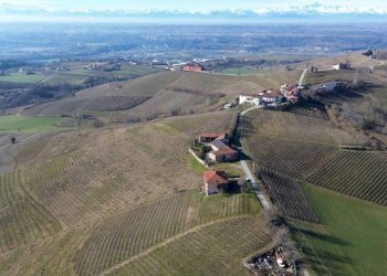 Terreno - Terreno agricolo Borgata Biarella, Dogliani - foto 4