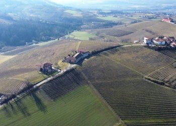 Terreno - Terreno agricolo Borgata Biarella, Dogliani - foto 6