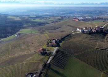 Terreno - Terreno agricolo Borgata Biarella, Dogliani - foto 7