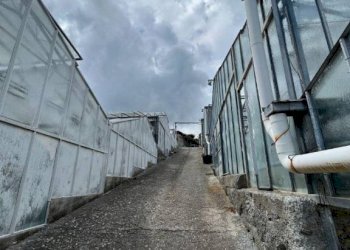 Zona - Magazzino via San Sebastiano, Bordighera - foto 8