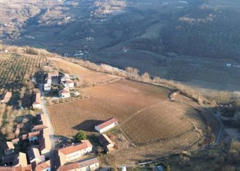 Terreno - Terreno agricolo via della Costa, Torre Bormida - foto 7