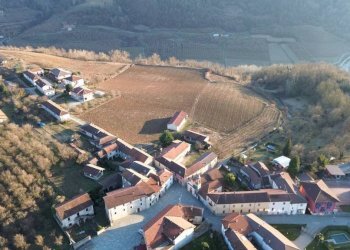 Terreno - Terreno agricolo via della Costa, Torre Bormida - foto 9