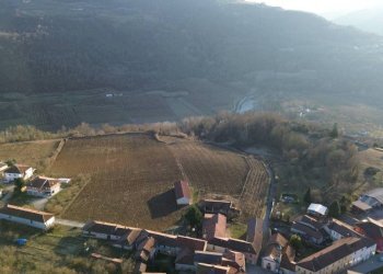 Terreno - Terreno agricolo via della Costa, Torre Bormida - foto 10