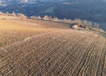 Terreno - Terreno agricolo via della Costa, Torre Bormida - foto 19