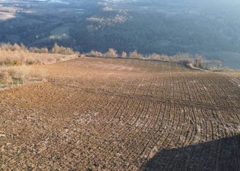 Terreno - Terreno agricolo via della Costa, Torre Bormida - foto 20