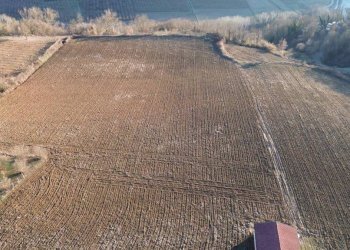 Terreno - Terreno agricolo via della Costa, Torre Bormida - foto 21