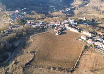 Terreno - Terreno agricolo via della Costa, Torre Bormida - foto 23