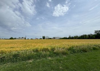 Terreno - Terreno agricolo via San Martino, Rivanazzano Terme - foto 38