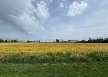 Terreno - Terreno agricolo via San Martino, Rivanazzano Terme - foto 39