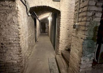 Cantina - Shop corso Giuseppe Garibaldi, Cuneo (neighborhood Centro) - photo 10