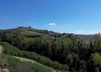 Vista - Rustic Località San Sebastiano, Monforte d'Alba - photo 15
